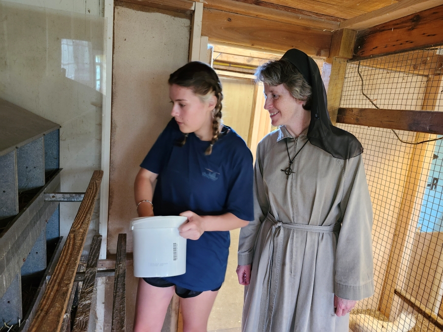 Collecting eggs at summer program